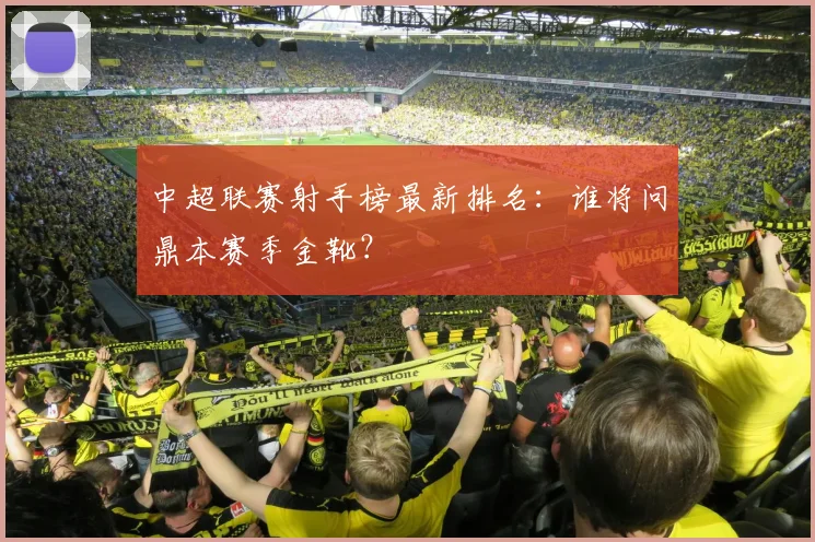 中超联赛射手榜最新排名：谁将问鼎本赛季金靴？